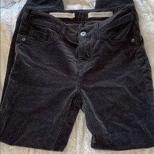 Anthropologie Pilcro and the Letterp. High Jeans